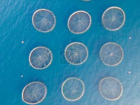 Photo for Top view of Fish cage farming in calm deep sea, aerial view - Royalty Free Image