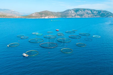 Photo for Aerial wide establishing shot Offshore sea aquaculture cages fish farm, seafood industry - Royalty Free Image