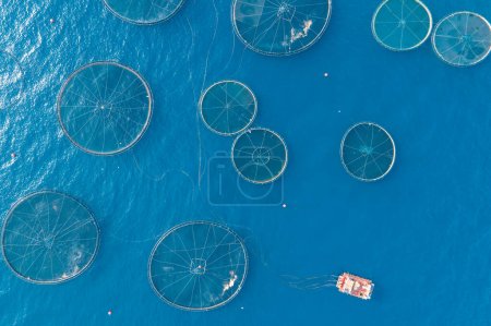 Aquaculture cages fish farms in open sea, aerial view