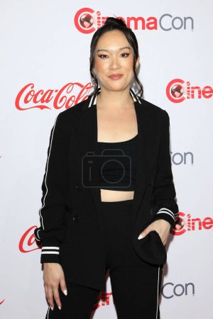 Photo for LOS ANGELES - APR 27:  Teresa Hsiao at CinemaCon 2023 - Big Screen Achievement Awards  at the Omnia Nightclub at Caesars Palace on April 27, 2023 in Las Vegas, NV - Royalty Free Image