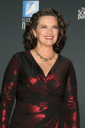 Photo for LOS ANGELES - FEB 4:  Heather Langenkamp at the 2024 Saturn Awards at the Burbank Convention Center on February 4, 2024 in Burbank, CA - Royalty Free Image