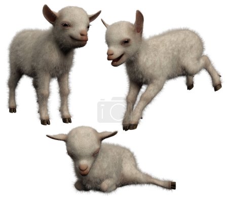 Photo for Fluffy Baby Goats, CGI Kawaii Animals - Royalty Free Image