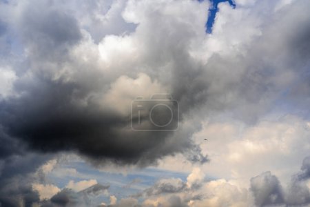 Photo for Dramatic sky featuring contrasting dark and light clouds with a graceful bird in flight. A moody, atmospheric image perfect for diverse creative projects - Royalty Free Image
