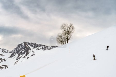 Photo for Two skiers enjoy a thrilling ride down a snowy slope, with a solitary tree and majestic mountains in the background. A great image for concepts of adventure, freedom, and winter sports - Royalty Free Image