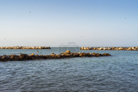 A serene seascape with rocky breakwaters and seagulls in the clear morning sky, perfect for themes of tranquility, nature and travel. Perfect for the 2024 trend towards calm looks