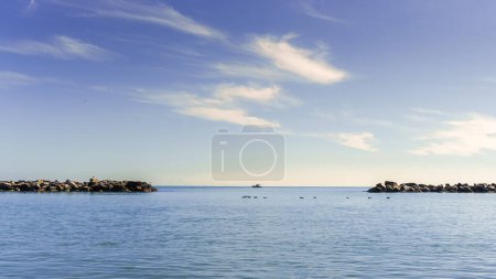 Calm seascape with seagulls swimming, calm water, distant boat under a clear blue sky with white clouds, ideal for calm themes and summer holidays