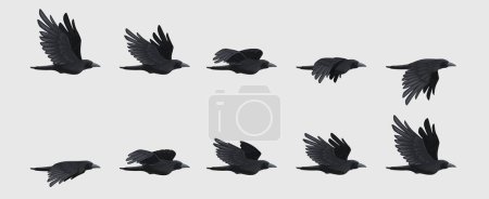 Téléchargez les illustrations : Séquence de vol corbeau. Silhouette de corbeau volant noir, mouvement d'aile d'oiseau noir pour des séquences de cadre d'animation 2d gaming asset. Ensemble isolé vectoriel. Des personnages gothiques volent en migration, des oiseaux dans diverses poses - en licence libre de droit