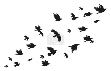 Una bandada de cuervos. Flying black birds in sky monochrome flutter raven silhouette, migrating flight group of wild rooks ornithology concept. Ilustración vectorial. Animales góticos con alas volando juntas