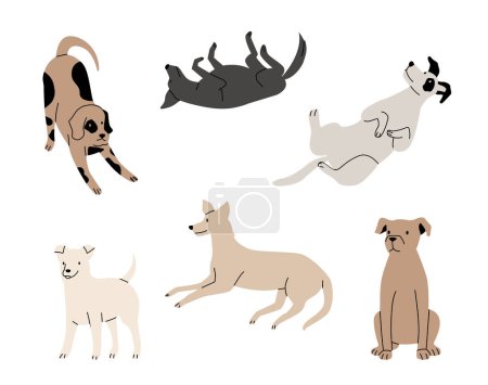 Illustration for Funny active dogs in different positions. Playful pets, sitting, standing and lying puppies isolated set. Cartoon domestic purebred characters. Friendly cute animals vector illustration - Royalty Free Image