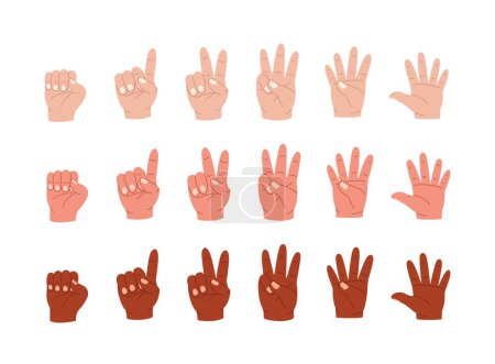 Ilustración de Las manos cuentan. Dibujos animados multirraciales gestos de palma humana que muestran números por dedos, matemática estudio de lenguaje de signos de estilo plano, Vector conjunto aislado. Señales de cálculo de cuenta atrás o puntuación - Imagen libre de derechos