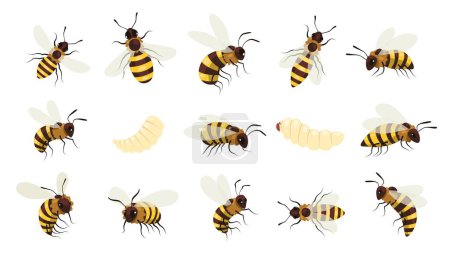 Ilustración de Miel de abeja. Zumbido alado insecto volador, avispa de abejorro rayado con aguijón, apicultura mead recolección concepto de artesanía de miel. Conjunto de dibujos animados vectoriales de insectos zumbidos e ilustración de abejas - Imagen libre de derechos