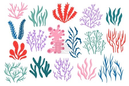 Téléchargez les illustrations : Coraux de mer. Flore et faune tropicales sous-marines, collection de récifs coralliens colorés de diverses botaniques marines pour la conception d'autocollants. Ensemble vectoriel de récifs coralliens océan, illustration tropicale marine sous-marine - en licence libre de droit