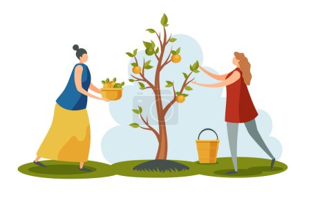 Ilustración de Gente trabajando en el jardín. Las mujeres recogiendo las manzanas del árbol en el jardín. Personajes de los trabajadores sosteniendo cestas y cubos y recogiendo fruta en tierras de cultivo. Trabajo estacional, vector de alimentos saludables y orgánicos - Imagen libre de derechos