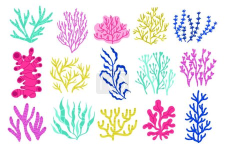 Téléchargez les photos : Algues et algues. Dessin animé plantes sous-marines colorées, flore botanique marine exotique colorée, plantes coralliennes et aquatiques. Ensemble d'algues marines isolé vectoriel illustration de l'océan - en image libre de droit
