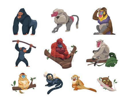 Illustration for Monkeys collection. Cartoon ape characters in different poses, species and breeds of monkeyshines, cute tropical primates zoo or wildlife concept. Vector set. Climbing, hanging wild animals - Royalty Free Image