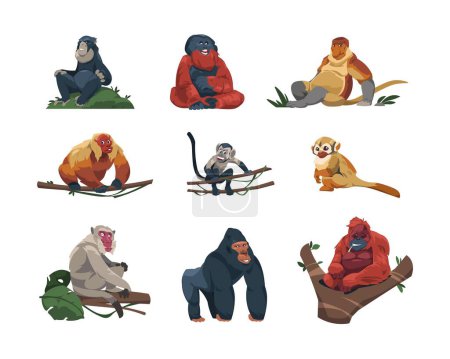 Illustration for Monkey species. Cute tropical apes flat cartoon style, colorful funny wildlife jungle primates, zoo exotic animals in different poses. Vector isolated set. Wild fauna characters as gorilla, chimpanzee - Royalty Free Image