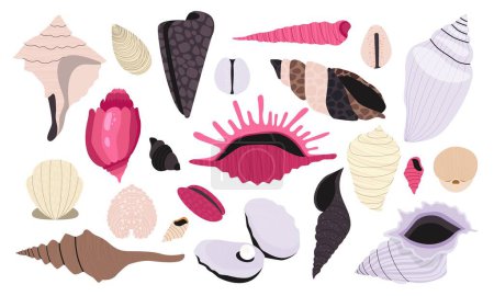 Illustration for Seashell collection. Cartoon shellfish and coral, summer beach and ocean diving concept, mollusk icons flat style. Vector isolated set. Underwater exotic elements of various shapes and colors - Royalty Free Image