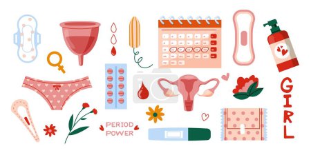 Illustration for Menstrual period sanitary goods. Feminine hygiene cycle products cartoon flat style, period care concept with pads and tampons. Vector set of hygiene and menstruation illustration - Royalty Free Image