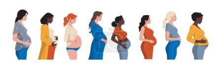 Illustration for Pregnant women set. Woman expectant baby, mother holding newborn, multicultural motherhood with diverse clothes and accessories. Vector set. Happy moms standing and holding tummy, expecting kid - Royalty Free Image