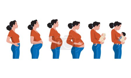 Illustration for Pregnancy stages. Timeline of pregnancy woman from embryo to newborn baby, cartoon prenatal child development concept. Vector infographic. Pregnant female character on different weeks - Royalty Free Image