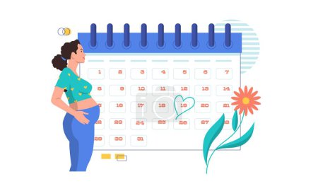 Illustration for Pregnancy calendar. Monthly countdown with pregnant woman, cartoon gynecology appointment with due mother baby. Vector illustration. Female character expecting kid, cute mum hugs belly - Royalty Free Image