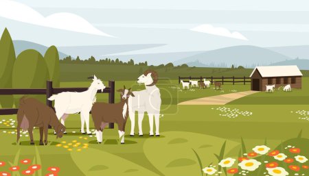 Illustration for Goat farm. Farm with dairy animals, cottage with baby male and female goats, organic farm for dairy milk production. Vector rural animals landscape. Illustration of dairy goat - Royalty Free Image