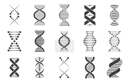 Ilustración de Iconos de ADN negro. Biotecnología y biología molecular símbolos abstractos, espiral código de secuencia de moléculas genéticas para farmacia y salud. Conjunto vectorial de ilustración molecular de biología - Imagen libre de derechos