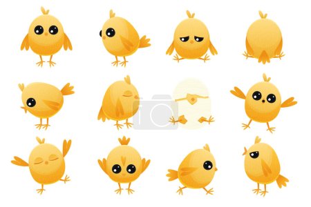 Téléchargez les illustrations : Bébé poulet dessin animé mignon. Volaille de ferme jaune avec bec et ailes, personnages animaux heureux simples avec des émotions différentes. Ensemble isolé vectoriel. Petits poussins éclosant dans des coquilles d'œufs cassées - en licence libre de droit