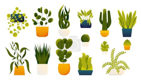 Illustration for Houseplants in pots. Cartoon decorative plants in vases, monstera leaf and cacti, alocasia and philodendron in vase. Vector flat set. Botanical potted elements for home and office decor - Royalty Free Image