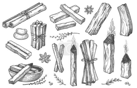 Illustration for Palo santo sticks. Hand drawn aroma burning stick, ritual elements and sacred symbols for witchcraft, boho aromatherapy wood. Vector collection of aroma, esoteric hand drawn palo santo illustration - Royalty Free Image