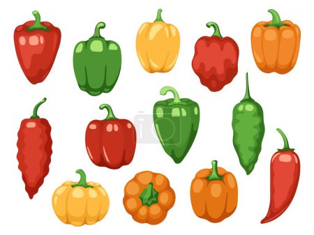 Téléchargez les illustrations : Divers poivrons. Caricature rouge vert jaune orange doux paprika, légumes bio frais pour cuisiner et manger sainement. Ensemble vectoriel coloré d'illustration de légumes alimentaires - en licence libre de droit