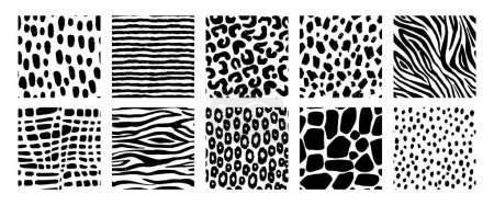 Illustration for Black and white animal patterns. Seamless print of wild nature skin textures, abstract decorative crocodile, leopard, zebra, tiger, giraffe. Vector set. African exotic design for textile - Royalty Free Image