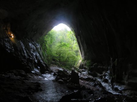 schöne tiefe prähistorische Höhle Hexenstämme tief feucht