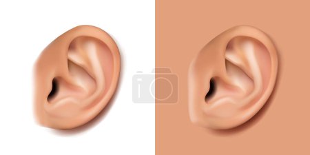 Illustration for 3d realistic vector icon. Human body part, human anatomy, ear on white background. - Royalty Free Image