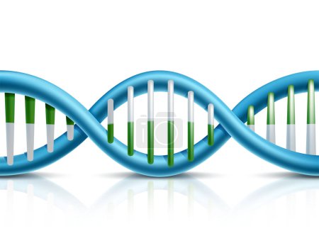 Illustration for 3d realistic vector icon of dna. Medial concept and element. - Royalty Free Image