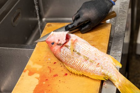 Téléchargez les photos : A Japanese chef processes fish to prepare sashimi. - en image libre de droit