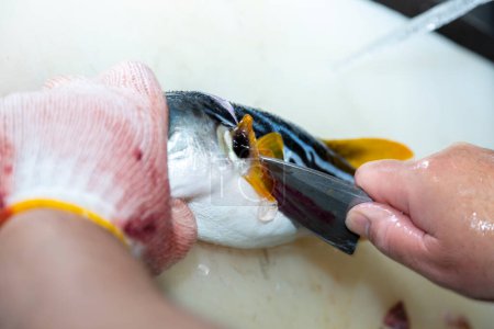Foto de A Japanese chef processes fish to prepare sashimi. - Imagen libre de derechos