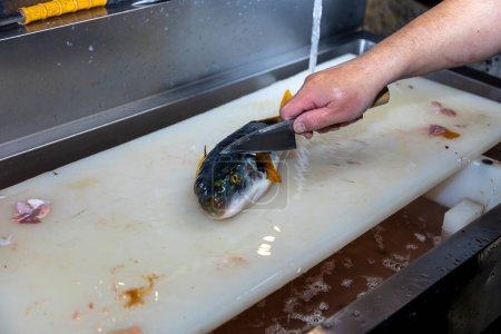 Foto de A Japanese chef processes fish to prepare sashimi. - Imagen libre de derechos