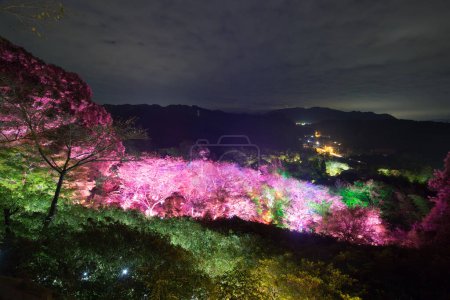 Téléchargez les photos : Beautiful view of Mt. Mifuneyama Decorated with illumination - en image libre de droit