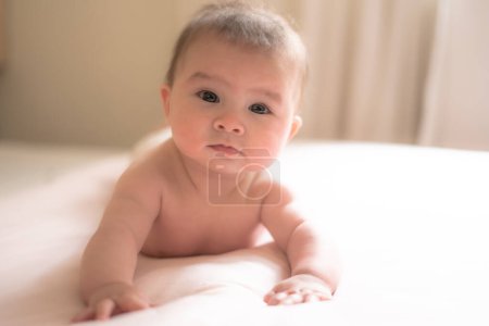 Photo for Adorable and happy 5 months old baby girl gleefully discovers boundless joy while playfully exploring her bed. Surrounded by the warm glow of natural light the little on smiles cheerfully - Royalty Free Image