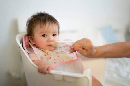 Photo for Woman hand with spoon feeding puree to happy and adorable baby girl in a bib sitting on eating chair in child healthy nutrition and motherhood concept - Royalty Free Image