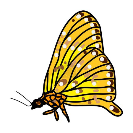 Photo for Doodle Cartoon of Butterfly in Circle Frame for Children's Books, Stationery and Greeting Cards - Royalty Free Image