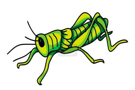 Photo for Doodle Cartoon of Grasshopper in Circle Frame for Nature Themed Designs, Children's Books, Stationery and Greeting Cards - Royalty Free Image
