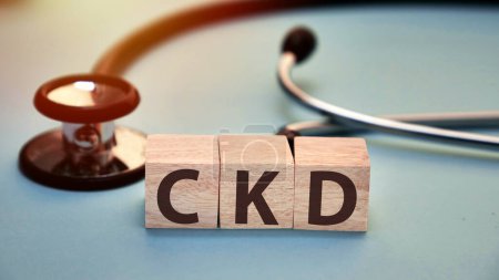 Photo for CKD chronic kidney disease, text words typography written with wooden letter, health and medical concept - Royalty Free Image