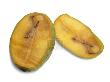 Foto de Mango podrido, fruta en rodajas que muestra agujeros de gusano en el interior, aislado cortado en blanco - Imagen libre de derechos