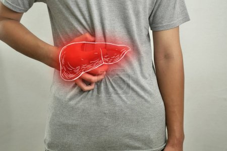 Foto de Composición digital del hígado humano con inflamación roja destacada en persona enferma, hombre con dolor de estómago, salud y concepto médico - Imagen libre de derechos