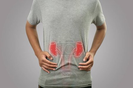 Digitale Zusammensetzung der inneren Niere hervorgehoben rote Entzündung an kranken Person, Mann mit Magen- und Rückenschmerzen, Gesundheit und medizinisches Konzept