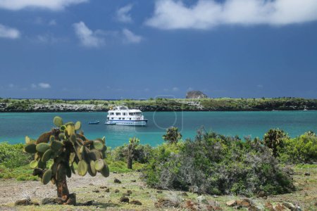Téléchargez les photos : Côtes de l'île South Plaza avec l'île North Plaza au loin, Parc national des Galapagos, Équateur. - en image libre de droit