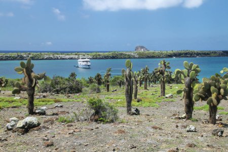 Téléchargez les photos : Côtes de l'île South Plaza avec l'île North Plaza au loin, Parc national des Galapagos, Équateur. - en image libre de droit