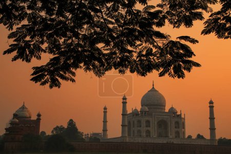 Blick auf das Taj Mahal, eingerahmt von einer Baumkrone bei Sonnenuntergang, Agra, Uttar Pradesh, Indien. Taj Mahal wurde 1983 zum UNESCO-Weltkulturerbe erklärt.